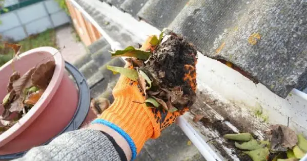 Gutter Cleaning in Manawatu