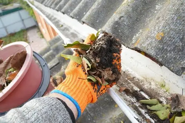 Professional Gutter Cleaning Service