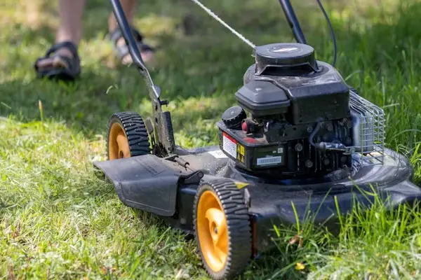 Professional Lawn Mowing