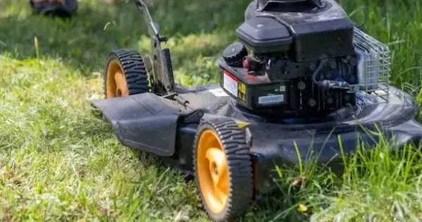 Expert Lawn Mowing in Manawatu
