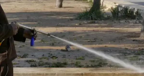 Trusted Pressure Washing Service