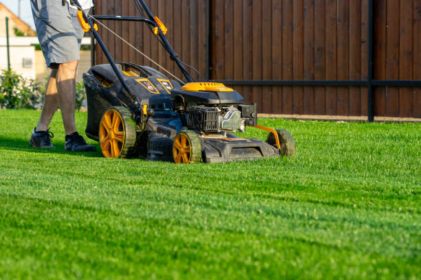 Outdoor lawn care service mowing healthy green grass near a wooden fence.